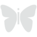 Logotipo Fiorina Logotipo Fiorina